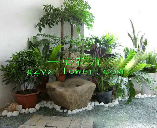 绿植养护、园林景观、阳台小花园布置