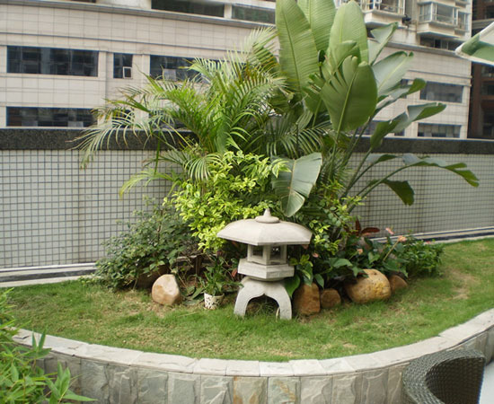 绿植养护、园林景观、阳台小花园布置